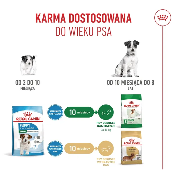 royal-canin-mini-puppy-800g-liczba-sztuk-w-opakowaniu-1-szt
