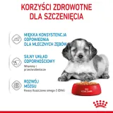 royal-canin-medium-puppy-10x140g-waga-z-opakowaniem-0-14-kg