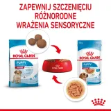 royal-canin-medium-puppy-10x140g-wielkosc-psa-rasy-srednie-10-25-kg