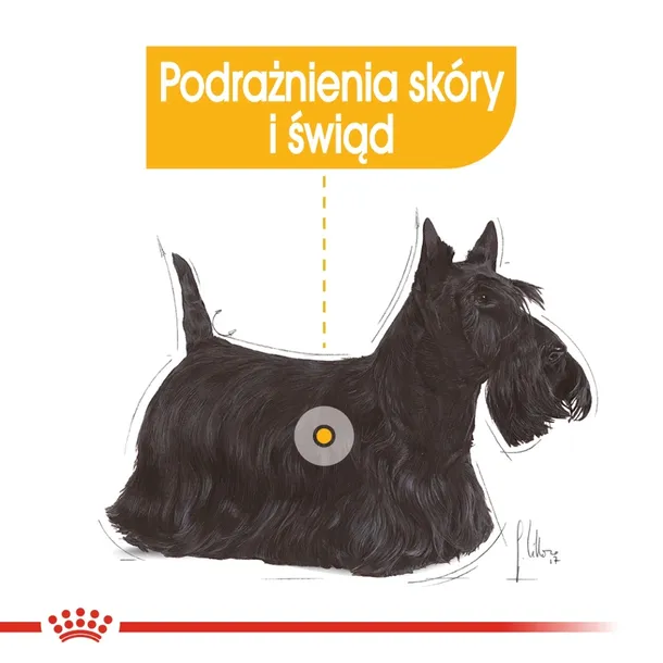 royal-canin-mini-dermacomfort-8kg-wiek-zwierzecia-psy-dorosle