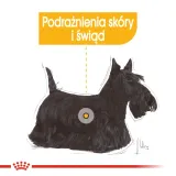 royal-canin-mini-dermacomfort-8kg-wiek-zwierzecia-psy-dorosle