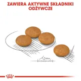 royal-canin-mini-dermacomfort-8kg-rodzaj-karmy-wysokobialkowa