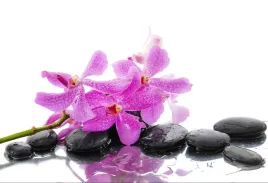 tapeta-flizelinowa-rozowa-orchidea-104x70