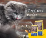 josera-marinesse-10kg-liczba-sztuk-w-opakowaniu-1-szt