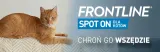 frontline-spot-on-dla-kotow-3x05ml-waga-z-opakowaniem-0-1-kg