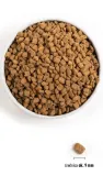 orijen-small-breed-dog-45kg-wiek-zwierzecia-psy-dorosle