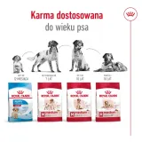 royal-canin-medium-ageing-10-15kg-waga-z-opakowaniem-15-25-kg