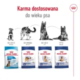 royal-canin-maxi-ageing-8-15kg-smak-drob