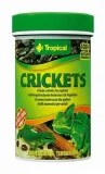 tropical-crickets-100ml