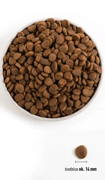 orijen-six-fish-dog-6kg-wiek-zwierzecia-psy-dorosle