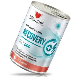 disugual-pies-recovery-losos-400g