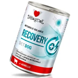 disugual-pies-recovery-jagniecina-400g-mokra-karma-dla-psa