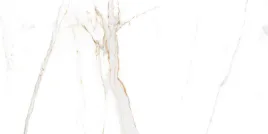 plytki-podlogowe-lazienkowe-gres-bialy-marmur-verona-gold-60x120-polysk