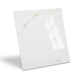 prime-ceramics-plytki-medina-gold-20x30-polysk-lazienkowe-do-kuchni-probka