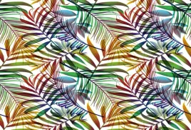 fototapeta-flizelinowa-liscie-palmy-104x70