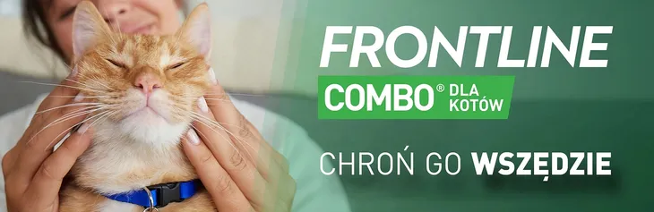 frontline-combo-spot-on-dla-kotow-3x05ml-pojemnosc-1-5-ml