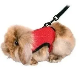 trixie-miekkie-szelki-ze-smycza