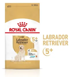 royal-canin-labrador-retriever-adult-5-12kg