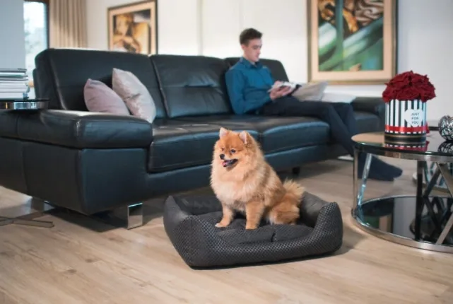 amiplay-sofa-zipclean-4-in-1-morgan-biala-s-rodzaj-kojec