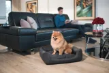amiplay-sofa-zipclean-4-in-1-morgan-biala-s-rodzaj-kojec