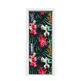 okleina-naklejka-drzwi-amazonka-75x205