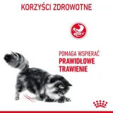 royal-canin-digestive-care-10kg-karmy-specjalne-dla-kotow-z-nadwrazliwoscia-pokarmowa