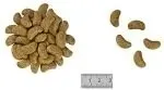 royal-canin-renal-select-canine-10kg-wiek-zwierzecia-psy-dorosle