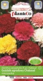 gozdzik-ogrodowy-chabaud-mix-nasiona-05-g-plantico