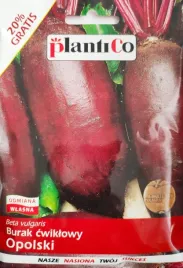 nasiona-plantico-burak-cwiklowy-10-g-200