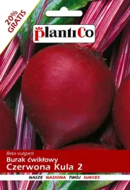 burak-cwiklowy-czerwona-kula-nasiona-12-g-190