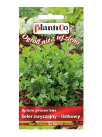 apium-graveolens-nasiona-02-g-223