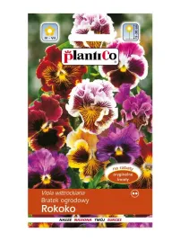 bratek-rokoko-nasiona-03-g