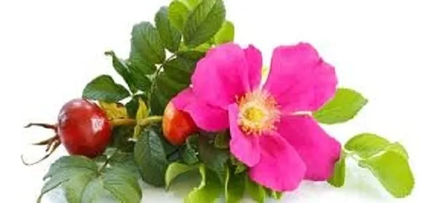 milk-instituto-espanol-500-ml-stan-nowy