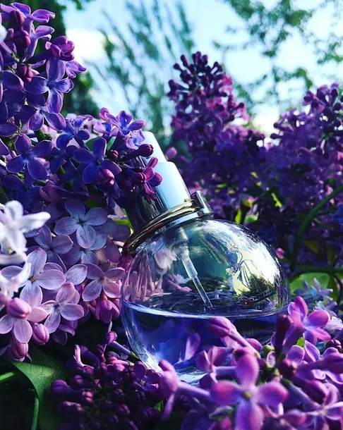 lanvin-eclat-d-arpege-edp-w-100ml-stan-nowy-marka-lanvin