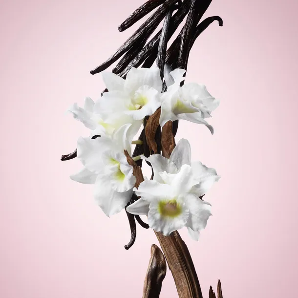 viktor-and-rolf-flowerbomb-edp-w-30-ml-stan-nowy-pojemnosc-opakowania-30-ml