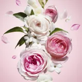 viktor-and-rolf-flowerbomb-edp-w-30-ml-stan-nowy-kod-producenta-8411061830055