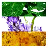 davidoff-cool-water-edt-m-125-ml-stan-nowy-marka-davidoff