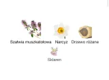 set-hermes-h24-edt-30-ml-refill-125-ml-sklad-zestawu-woda-toaletowa