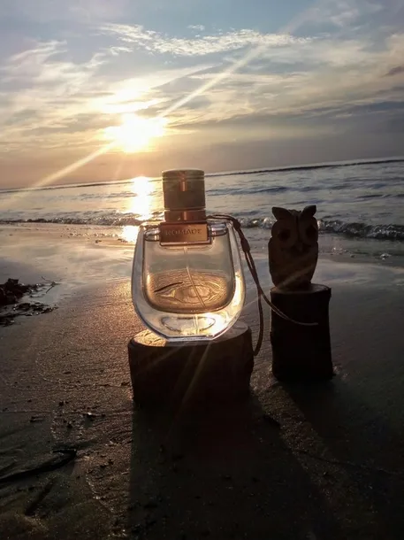 set-chloe-nomade-edp-75-ml-edp-20-ml-grupa-zapachowa-kwiatowa-stan-nowy