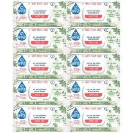 nawilzany-papier-toaletowy-zapachowy-procto-care-gowipes-10x44-szt-flip-top