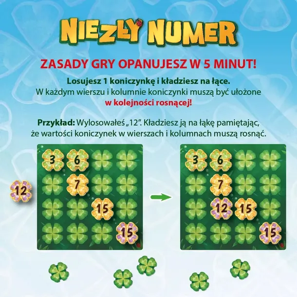 niezly-numer-nazwa-niezly-numer
