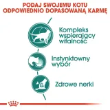 royal-canin-instinctive-7-12x85g-karmy-specjalne-dla-kotow-wybrednych