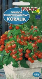 pomidor-gruntowy-koralik-02-g-polan-215