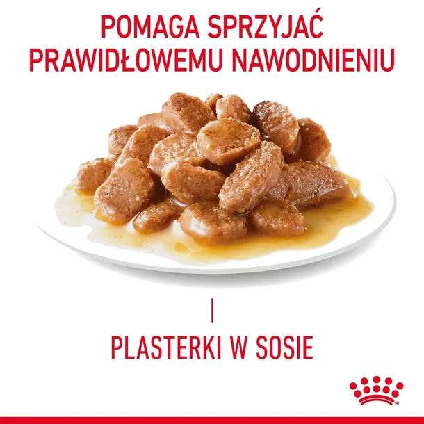 royal-canin-urinary-care-12x85g-karmy-specjalne-ze-schorzeniem-drog-moczowych
