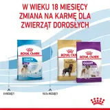 royal-canin-giant-junior-15kg-wielkosc-psa-rasy-olbrzymie-greater45-kg