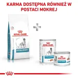royal-canin-hypoallergenic-2kg-wielkosc-psa-wszystkie-rasy