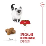royal-canin-kitten-2kg-wiek-zwierzecia-kocieta-i-mlode-koty