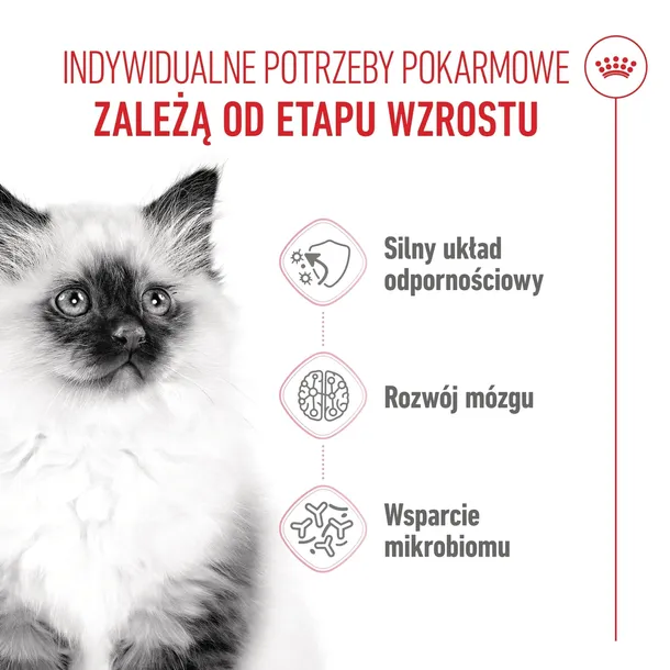 royal-canin-kitten-2kg-karmy-specjalne-nie-dotyczy
