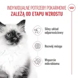royal-canin-kitten-2kg-karmy-specjalne-nie-dotyczy