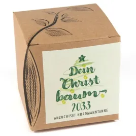 zestaw-upominkowy-do-uprawy-twoja-choinka-2029